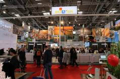 Mini IMG 9572